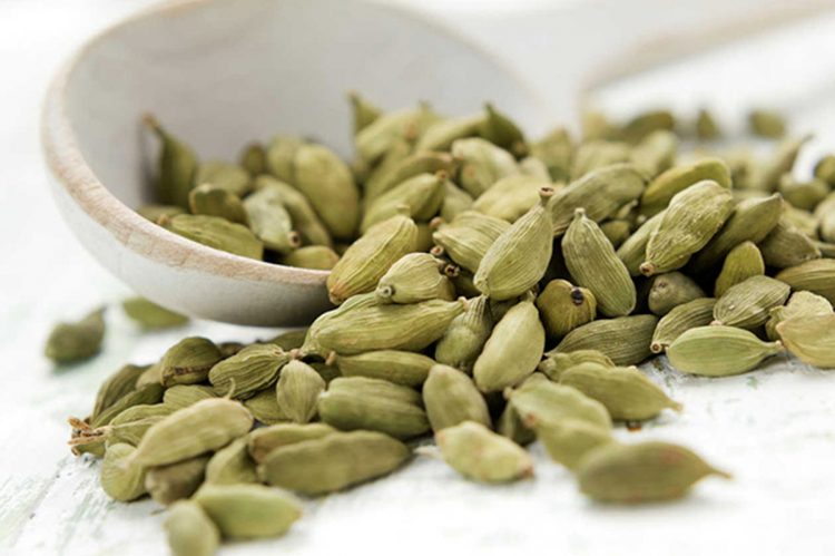 Empresarios buscan cultivar 1,300 hectáreas de cardamomo orgánico, para convertir a El Salvador en el segundo país productor más grande del mundo. Foto / Diario El Salvador.