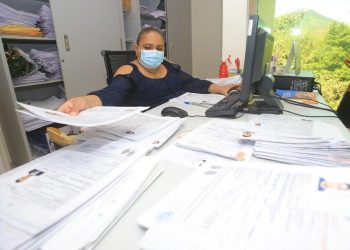 Red consular en EE. UU. entrega más de 81,000 pasaportes en tres meses