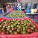 Salvadoreños se quedan sin la Feria del Jocote en Ahuachapán por segundo año consecutivo