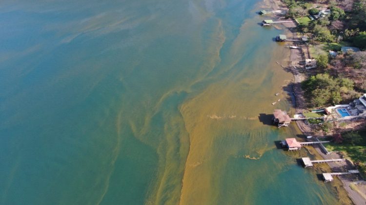 Disminuye proliferación de algas en Lago de Coatepeque. FOTO / Luis Umaña.