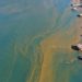 Brasil vivió en marzo el peor mes de la pandemia y teme un abril peor