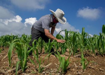 El Gobierno acelera la inclusión financiera en El Salvador