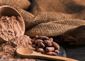 Cacao: el alimento de los dioses