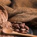 Cacao: el alimento de los dioses
