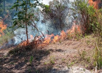Nuevo incendio forestal en volcán de San Salvador