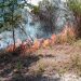 Nuevo incendio forestal en volcán de San Salvador