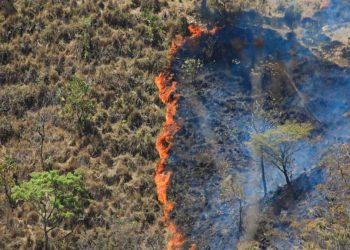 Chalatenango pierde 485 manzanas de bosque por incendios en una semana