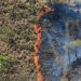 Chalatenango pierde 485 manzanas de bosque por incendios en una semana