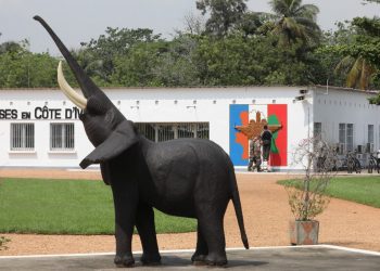 El elefante, emblema de Costa de Marfil, en vías de extinción