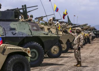 OEA acusa a Venezuela de «desinformar» a la ONU sobre combates en frontera con Colombia