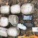 Capturan a dos personas con siete libras de marihuana en Pasaquina