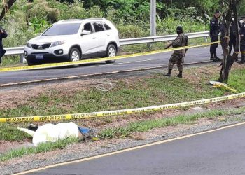 Hombre murió tras ser atropellado en la carretera Panamericana