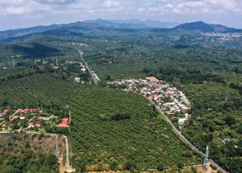 «Para nosotros es súper importante el café»: ministro de Agricultura, David Martínez, visita la Finca Noruega en Ahuachapán