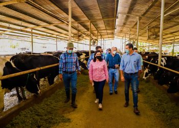 Gobierno de El Salvador presenta Plan de Rescate Agropecuario para fortalecer al sector ganadero