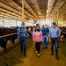 Gobierno de El Salvador presenta Plan de Rescate Agropecuario para fortalecer al sector ganadero
