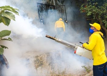 Realizan megajornada de fumigación en estas zonas de San Salvador