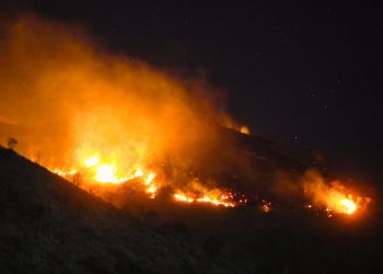 Bomberos, Fuerza Armada y cuerpos de socorro controlan incendios forestales en Nejapa y San Blas