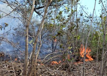 Bomberos ha atendido 120 incendios durante este año