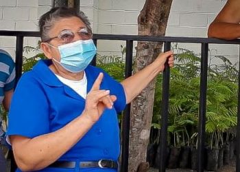 Ministra María Chichilco acompañó entrega de 200 árboles de fuego que serán plantados en Las Aradas