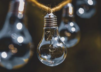 DELSUR le apuesta a la sostenibilidad