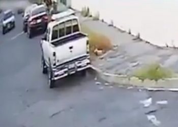 Denuncian robo en vehículo en San Salvador