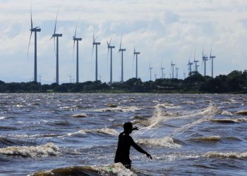 Más del 80 % de la producción de energía mundial fue renovable en 2020