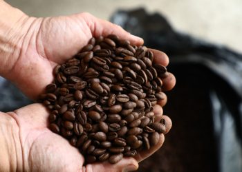 El MAG busca inyectar $45 millones en sector café