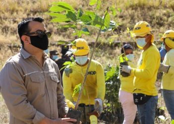 Ministerio de Medio Ambiente y Recursos Naturales iniciará la segunda etapa de arborizar «Camino a Surf City»