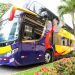 Presentan nueva flota de autobuses que aumentará el flujo de turistas hacia El Salvador