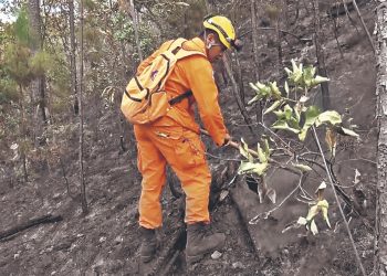 Unidades municipales son ineficientes, afirma juez de medioambiente