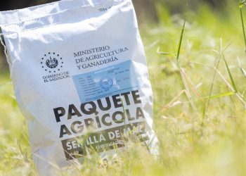 MAG beneficiará a 400,000 productores con paquetes agrícolas