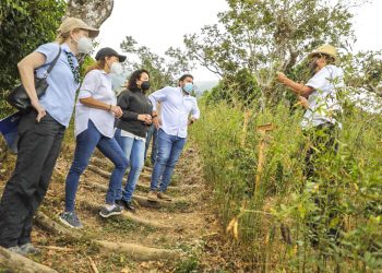 Ministro de Agricultura y comisionada Recinos anuncian apoyos para café