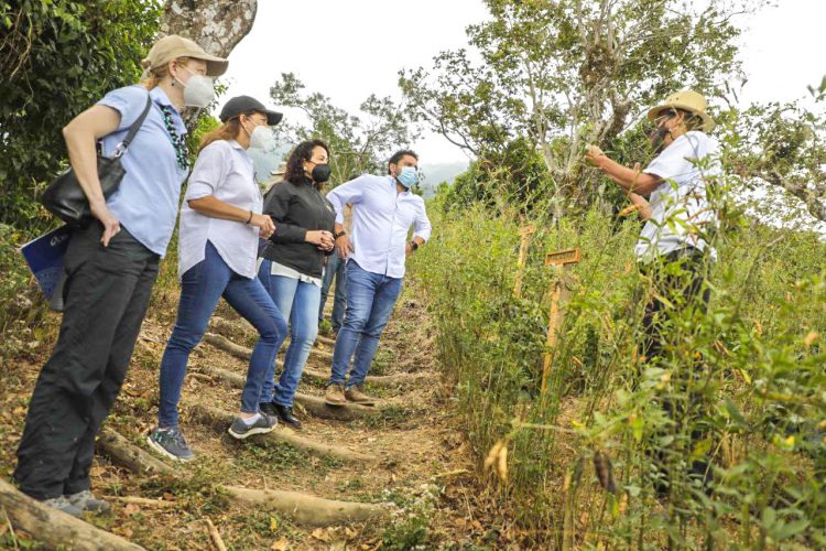 Autoridades de Gobierno recorrieron la finca Noruega para conocer las instalaciones del Laboratorio de Control de Calidad de Café. Foto / Diario El Salvador.