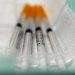 Estudio manifiesta que los anticuerpos contra el covid-19 permanecen en la sangre al menos ocho meses