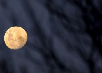 Las claves del eclipse lunar y la superluna que se verá en gran parte de Estados Unidos