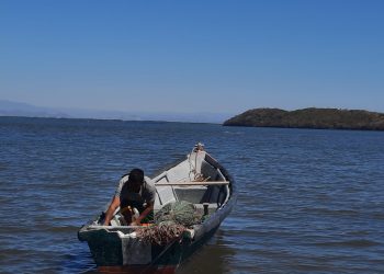 Pescadores deben renovar carné para acceder a subsidio