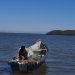 Pescadores deben renovar carné para acceder a subsidio