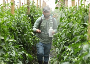 BFA fomenta la economía circular a través de Agrorecicla