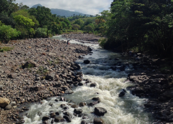 CEL dona 5,000 árboles para preservar el agua del río Tamulasco en Chalatenango