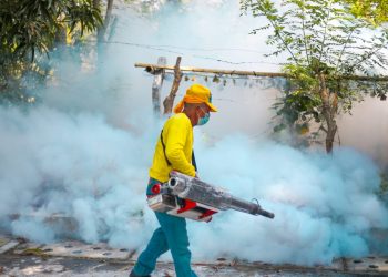 Más de 210,000 viviendas han sido fumigadas en El Salvador