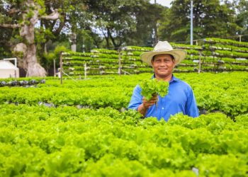 «¡El Salvador volverá a sembrar!»: David Martínez, ministro de Agricultura y Ganadería