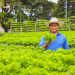«¡El Salvador volverá a sembrar!»: David Martínez, ministro de Agricultura y Ganadería