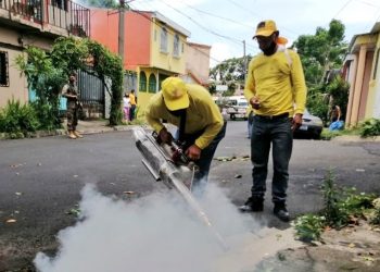 Alcaldía de Santa Tecla lleva a cabo jornada de fumigación este domingo