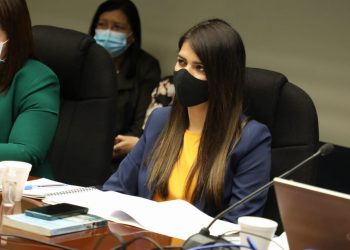 Elisa Rosales, diputada de Nuevas Ideas, promete trabajar en consolidación con las municipalidades