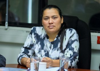 Diputada del FMLN denuncia que recibe ataques desde el interior de su partido
