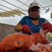 Las madres de Galápagos, entre el océano y la agricultura