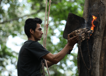 Fotos: La extracción del oro negro salvadoreño
