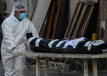 Honduras envía muestras de cepas a Brasil