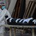 Honduras envía muestras de cepas a Brasil