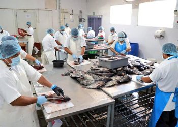 El ISSS reporta 24,118 nuevos empleos en el primer trimestre de 2021